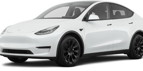 TESLA MODEL Y 2021 5YJYGDEE1MF139992 image
